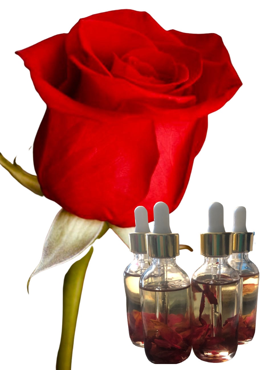 Rose Oil